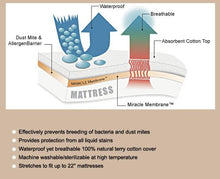 Load image into Gallery viewer, 160X200cm Waterproof Mattress Cover Luxury Terry Cloth Mattress Protector Sheet On Elastic Offer Drop Shipping Kekegentleman